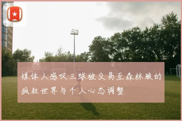 媒体人感叹三球被交易至森林狼的疯狂世界与个人心态调整